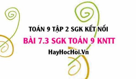 Bài 7.3 SGK Toán 9 tập 2 Kết nối tri thức
